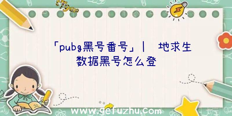 「pubg黑号番号」|绝地求生数据黑号怎么登陆